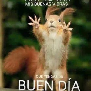 Meet your Posher, Violeta